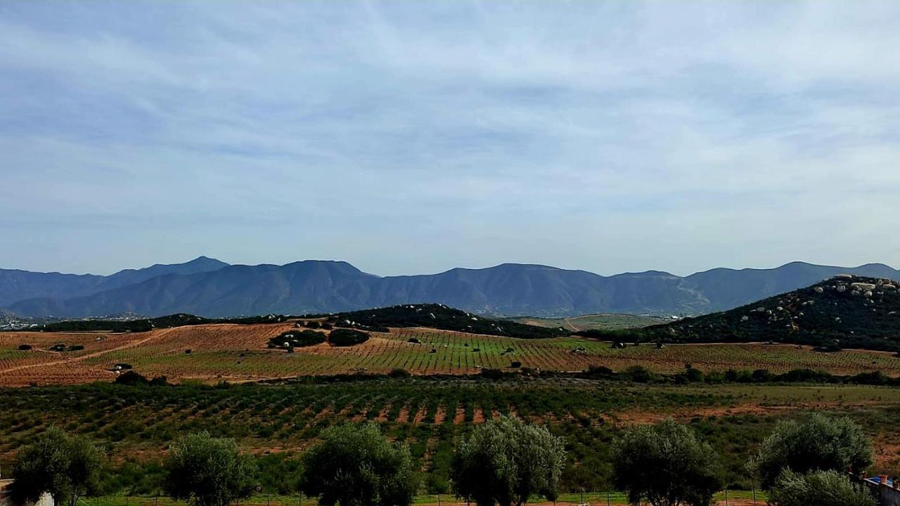 فندق D'Vino Valle De Guadalupe إنسينادا المظهر الخارجي الصورة